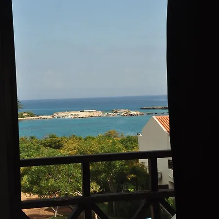 Hotel Harry's 3*